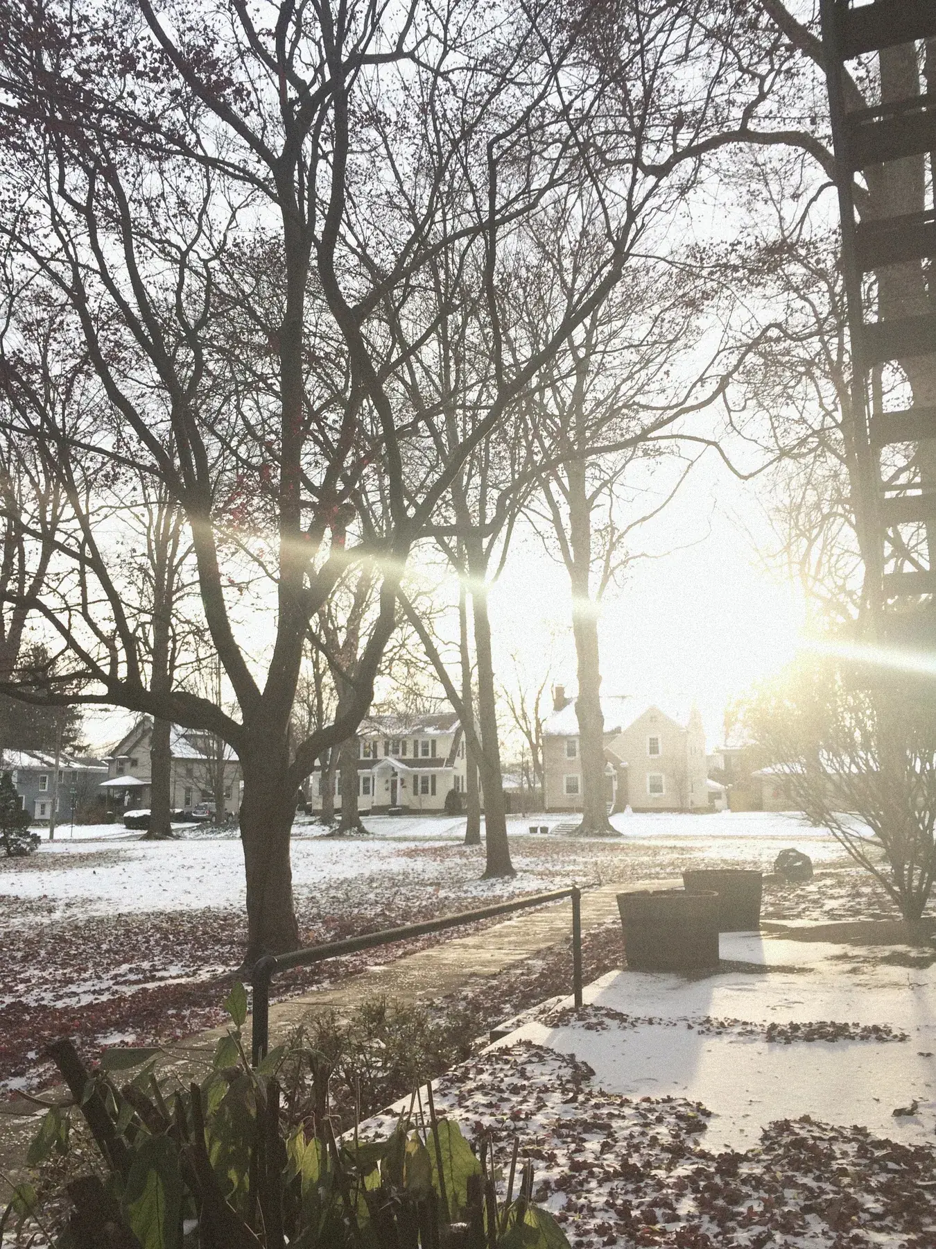 Winter porch at The Old Ruth with sun flare through bare branches