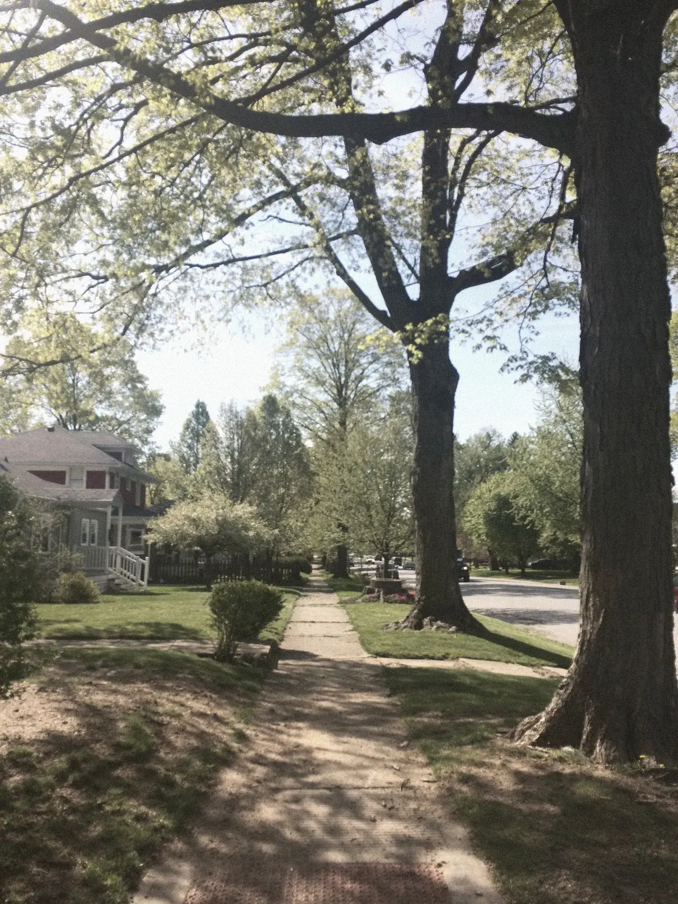 Tree-lined neighborhood sidewalk in summer near The Old Ruth corporate housing, La Porte, Indiana