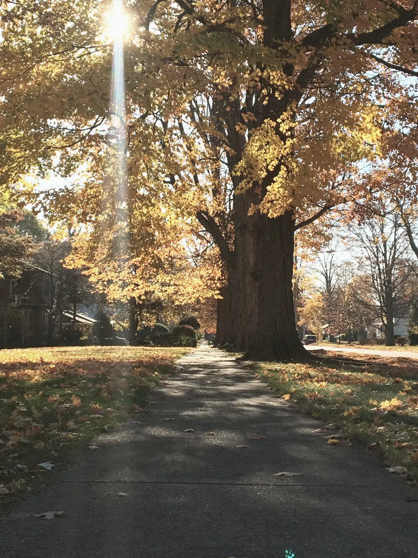 Golden fall sidewalk with sunbeam in the historic La Porte neighborhood around The Old Ruth