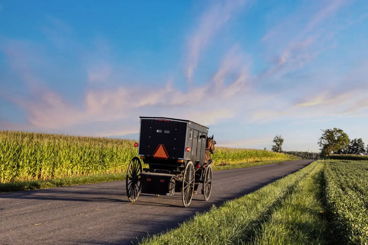 Amish Country in northern Indiana — 35 minutes from The Old Ruth